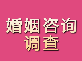 固安婚姻咨询调查